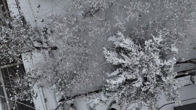 인천광역시 연수구 연수동 원인재 인근의 눈쌓인 아파트 풍경 