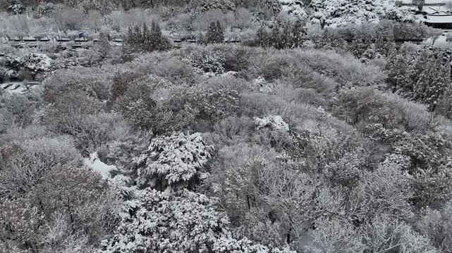 인천광역시 연수구 연수동 원인재 인근의 눈쌓인 아파트 풍경 