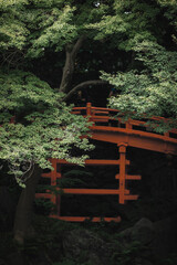 Red bridge in Japanese garden, Koishikawa Korakuen, Tokyo Japan