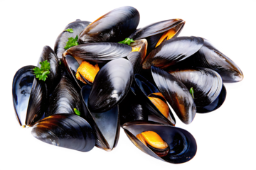  fresh black mussels isolated on white background PNG, AI GENERATED