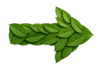 Green leafy arrow indicating direction, symbolizing environmental sustainability against transparent backdrop