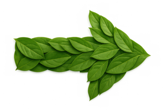 Green leafy arrow indicating direction, symbolizing environmental sustainability against transparent backdrop - Powered by Adobe