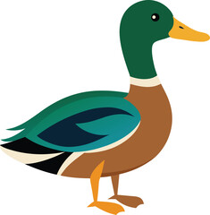 Realistic Mallard Duck Vector Illustration Detailed Bird Artwork