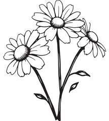 Daisy line art minimalist flower sketch invited delicate refined style