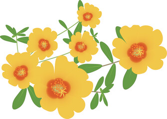 ポーチュラカ黄