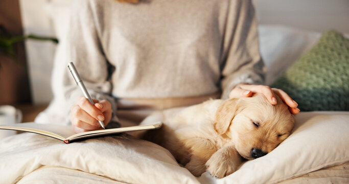 Owner, sleeping and writing with puppy on lap of person in bedroom of home for bonding or relax. Break, dog or notebook with pet labrador and woman on bed in apartment for loyalty or security