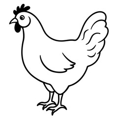 Detailed line art farm chicken illustration
