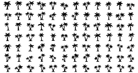 Fototapeta premium palm tree silhouettes for tropical themes 