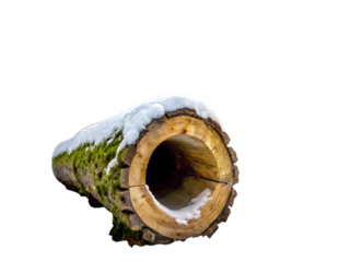  hollow log in snowy forest setting isolated on white background PNG, AI GENERATED