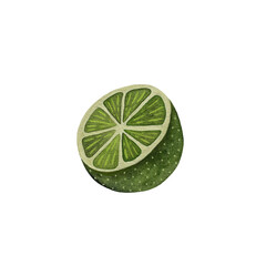 A vibrant watercolor illustration featuring a halved lime isolated on white background. The bright green color and intricate details of the lime's texture highlight its freshness and zest. Perfect for