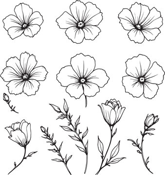Snapdragon line art refined flower outline; artistic nature invited
