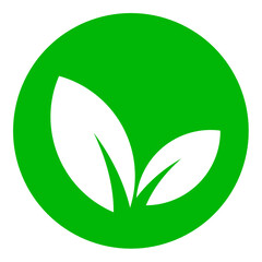Organic leaf vector png, green colour illustration, eco herbal design