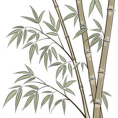 Obraz premium Elegant bamboo stalks with leaves botanical zen garden style vector illustration 