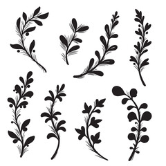 Elegant black and white botanical elements for decorative design and creative projects
