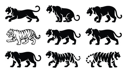 Tiger silhouette icon set in black featuring nine varied walking and standing profiles including white tiger for wildlife, power, and cultural themes