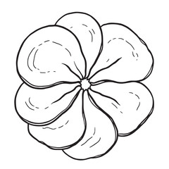 Thinly Sliced Ham Close Up View Delicious Meat Product line art illustration of gourmet deli serving suggestion