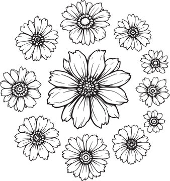 Tithonia line art botanical flower drawing for coloring and design