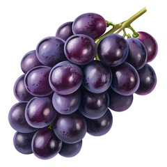 Juicy Purple Grapes: Fresh, Ripe, and Ready to Eat! Isolated On Transparent Background