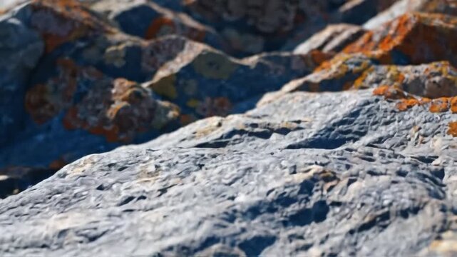 Closeup of a rough weathered rock surface with orange lichen