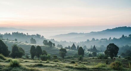Naklejka premium Misty Sunrise over Rice Terraces and Ancient Temples