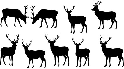 Set of deer silhouette illustration. Deer icon set vector design.