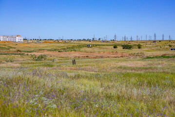 Fototapeta premium steppe outskirts of elista, kalmykia. hot july 2025.