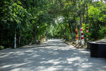 Tree trunks covered in multi-colored stockings. Elista, Kalmykia. July 2025.