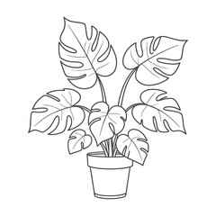 Monstera Deliciosa Line Art in Pot, Minimal Black and White Botanical Illustration