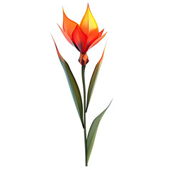 Fiery orange tulip, stylized illustration