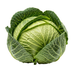 Fototapeta premium A vibrant, whole green cabbage head covered in fresh water droplets, perfect for healthy eating, cooking, and grocery themes.