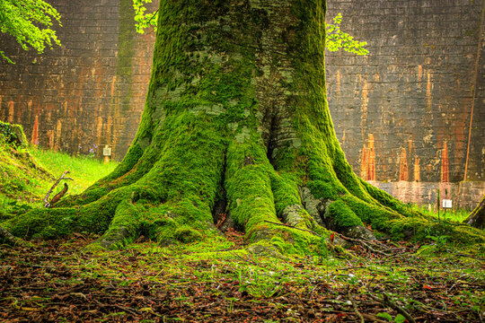 The Rigole de la Montagne Noire is an irrigation channel located in the Tarn department of France. It was built in the 19th century to supply water to the Canal du Midi, bringing water from the Montag - Powered by Adobe