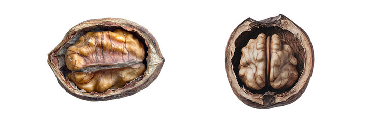 Set of a whole open walnut ,isolated on transparent background.