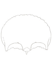 Sketch of Frontal Bone exocraneal view 