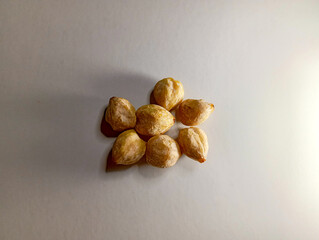 Pile of Raw Candlenuts: Essential Spice for Indonesian Dishes