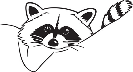 vector illustration of a raccoon 