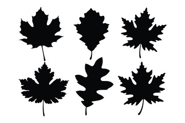 set of autumn leaves silhouette vector, autumn leaf icon bundle