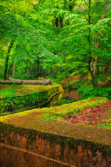 Fototapeta premium The Rigole de la Montagne Noire is an irrigation channel located in the Tarn department of France. It was built in the 19th century to supply water to the Canal du Midi, bringing water from the Montag