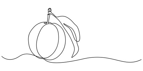 Single Line Drawing of a Plum Fruit Minimalist Art, Plum drawn in one continuous line. One line drawing, minimalism. Vector illustration, Plum fruits continuous one line drawing isolated on white back