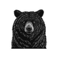 Detailed black and white vector illustration the face of a black bear. The intricate linework captures the bear's features, making this a striking piece of wildlife art. Engraved stamp woodcut vintage