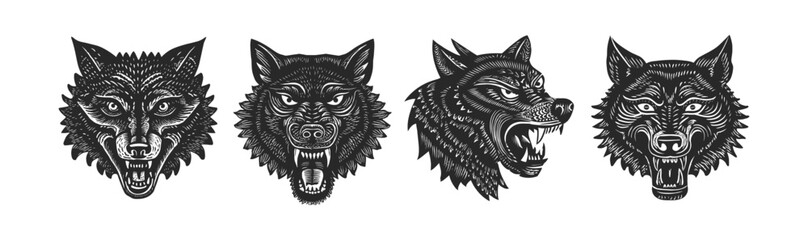 Set of four fierce wolf faces depicted in detailed black and white vector illustration. Each wolf displays a distinct aggressive expression, capturing the wild. Engraved, stamp, woodcut vintage style