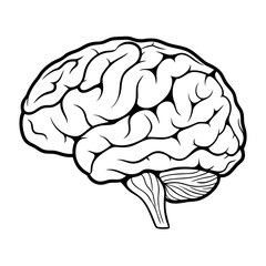 Stylized Human Brain Illustration in Black and White for Educational or Medical Purposes