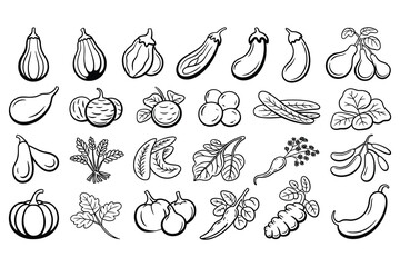 Botanical vegetable outline icons ideal for farm market advertisements, cooking illustrations, and garden planner graphics