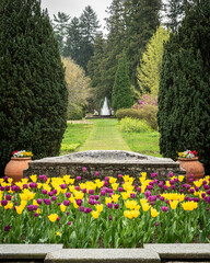 Colorful tulips blooming in spring at Villa Taranto botanical gardens, Verbania, Piedmont, Italy