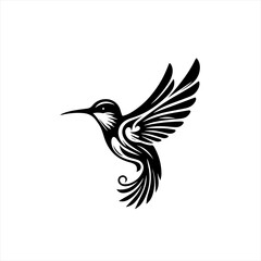 Obraz premium Hummingbird in flight