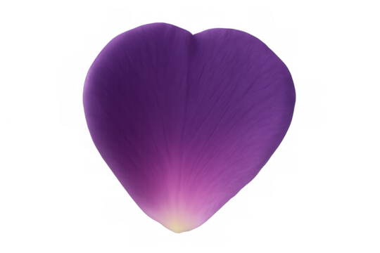 Purple heart-shaped petal with gradient from dark purple to light yellow at the tip, isolated on a transparent background