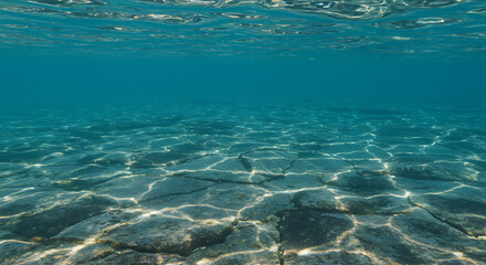 Fototapeta premium Underwater view showcasing the sandy ocean floor with sunlight filtering through the water.