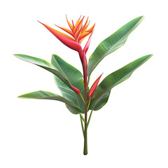 Vibrant tropical bird-of-paradise flower with lush leaves
