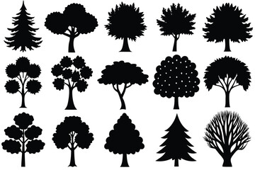 Assorted Black Tree Silhouette Set Different Tree Shapes and Leaf Types on White