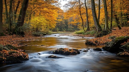 Calm River Flowing Through a Forest in Autumn