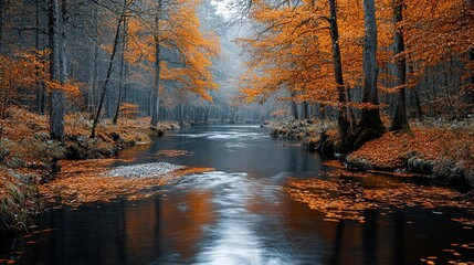 Calm River Flowing Through a Forest in Autumn